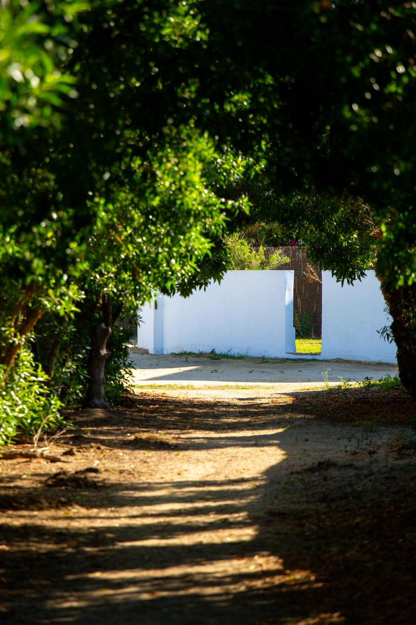 Casara Dos - 2 Dormitorios - Torre Con Acceso Privado A La Playa De 扎霍拉 外观 照片