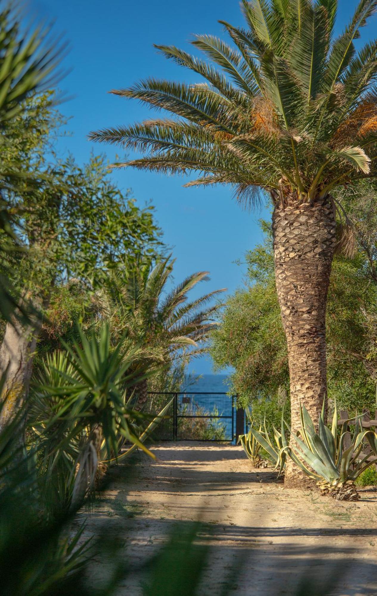 Casara Dos - 2 Dormitorios - Torre Con Acceso Privado A La Playa De 扎霍拉 外观 照片
