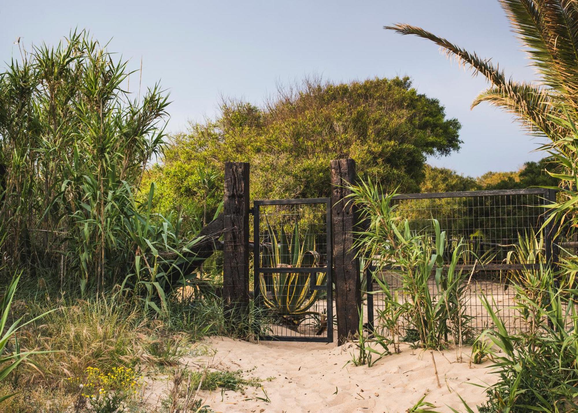 Casara Dos - 2 Dormitorios - Torre Con Acceso Privado A La Playa De 扎霍拉 外观 照片