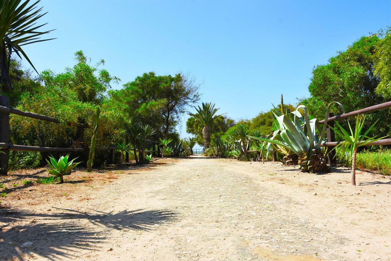 Casara Dos - 2 Dormitorios - Torre Con Acceso Privado A La Playa De 扎霍拉 外观 照片