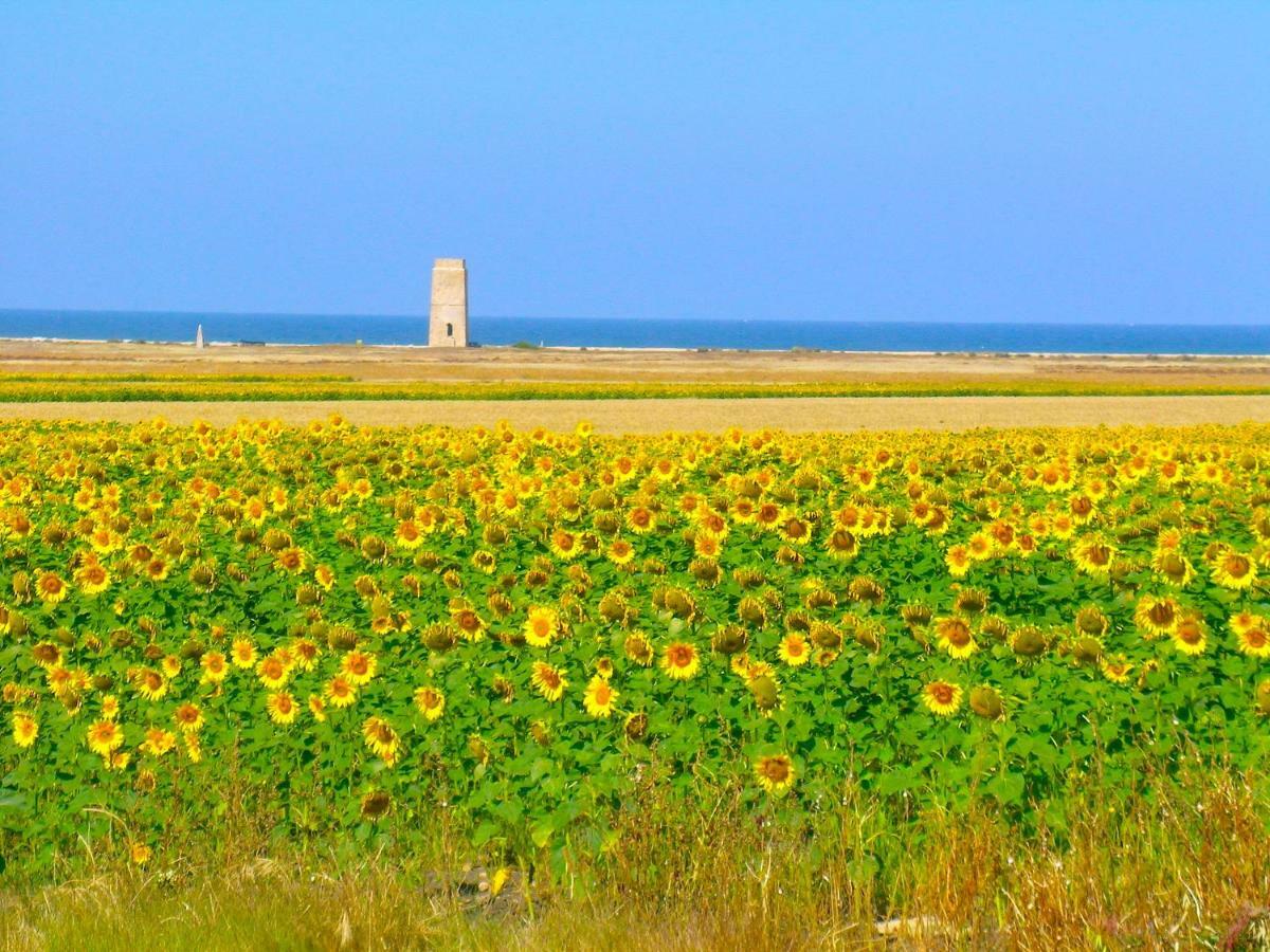 Casara Dos - 2 Dormitorios - Torre Con Acceso Privado A La Playa De 扎霍拉 外观 照片